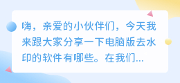 电脑版去水印的软件有哪些