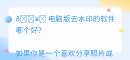电脑版去水印的软件哪个好