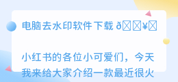 电脑去水印软件下载