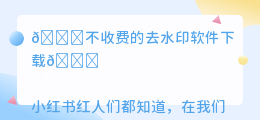 不收费的去水印软件下载
