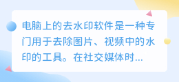 电脑上的去水印软件