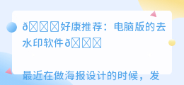 电脑版的去水印软件