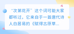 次第花开文案提取
