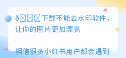 不能去水印的软件下载