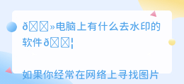 电脑上有什么去水印的软件