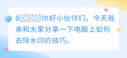 电脑上什么软件去水印