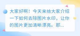 电脑什么软件可以去水印