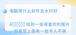 电脑用什么软件去水印好
