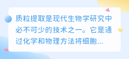 质粒提取年龄文案