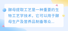 酵母 提取工艺 文案