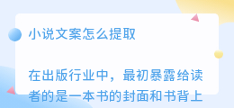 小说文案怎么提取