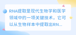 RNA提取文案
