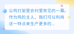 公鸡打架提取文案