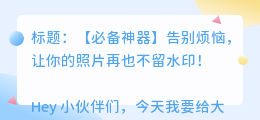 给去水印的软件