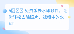 免费版去水印软件