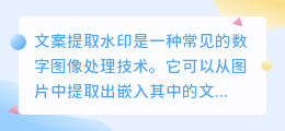 文案提取水印