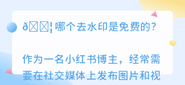 哪个去水印是免费的