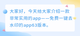 免费一键去水印的app63版本