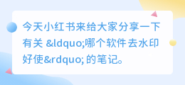 哪个软件去水印好使