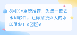 免费一键去水印软件