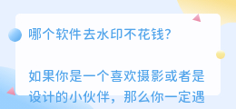 哪个软件去水印不花钱