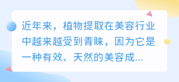 植物提取年龄差距文案