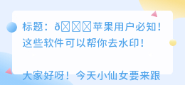 苹果什么软件去水印