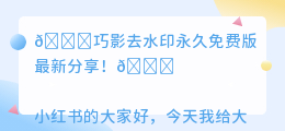 巧影去水印永久免费版最新