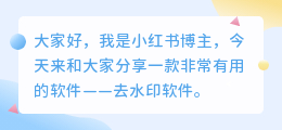 求一款去水印的软件