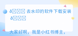 去水印的软件下载安装
