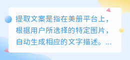 美册提取文案