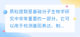 质粒提取不沉淀文案