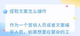 提取文案怎么操作