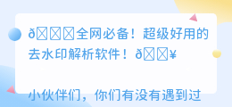 全网去水印解析软件