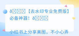 去水印专业免费版