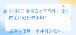 全能去水印软件