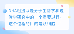 dna粗提取过程文案