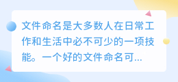 提取文件名字文案