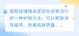 提取玫瑰精油文案说说