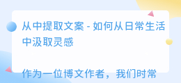 从中提取文案