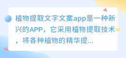 植物提取文字文案app
