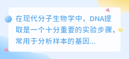 DNA提取数字蛋糕文案