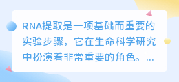 RNA提取数字蛋糕文案