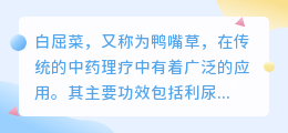 白屈菜提取粉价格文案