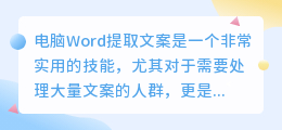 电脑word提取文案
