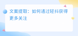 文案提取 轻抖