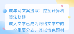 成年网文案提取