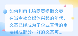 电脑网页提取文案