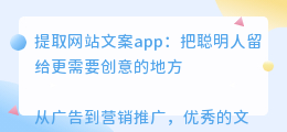 提取网站文案app