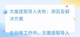 文案提取导入失败